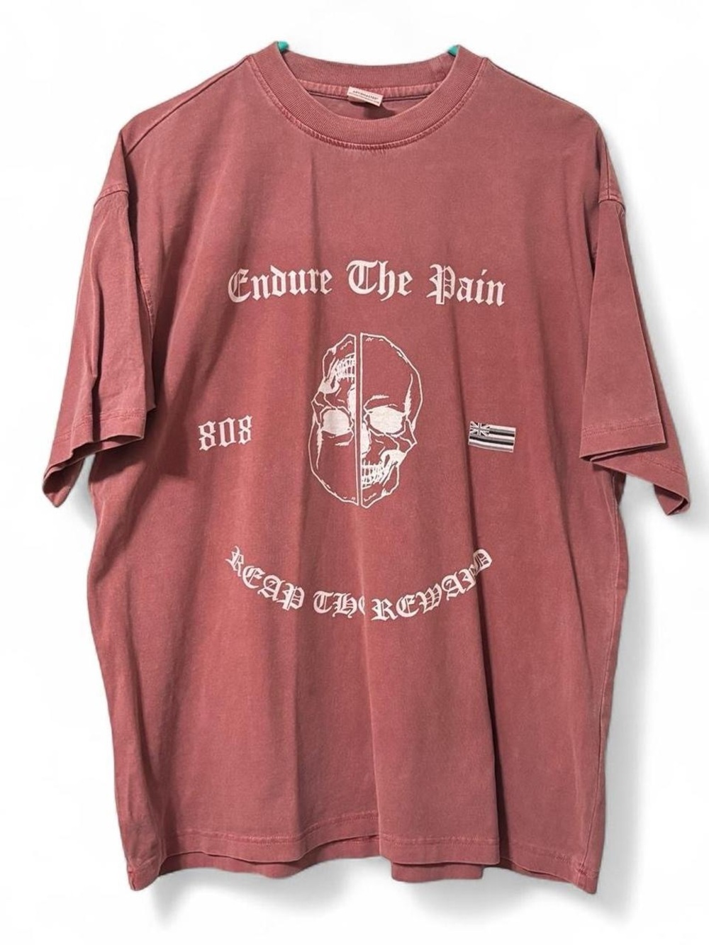 Men's Dusty Rose Graphic Tee - Endure The Pain